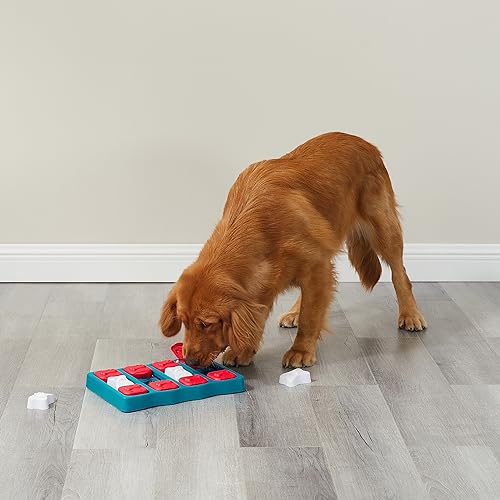 Poodle Dog Brick Interactive Treat Puzzle, Intermediate