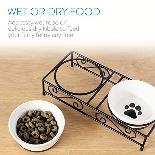 Poodle Dog Ceramic Pet Bowl Set - Retro Metal Stand