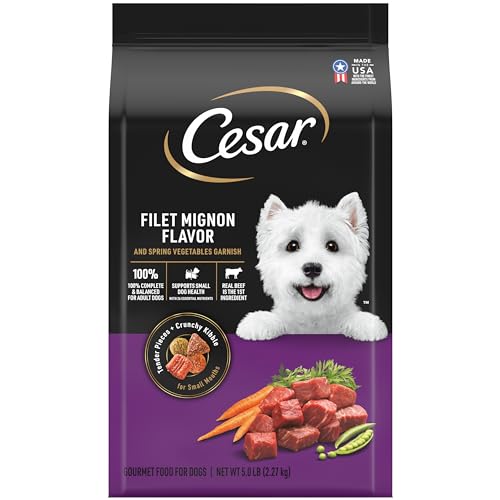 Poodle-Sized CESAR Dry Dog Food, Filet Mignon Flavor