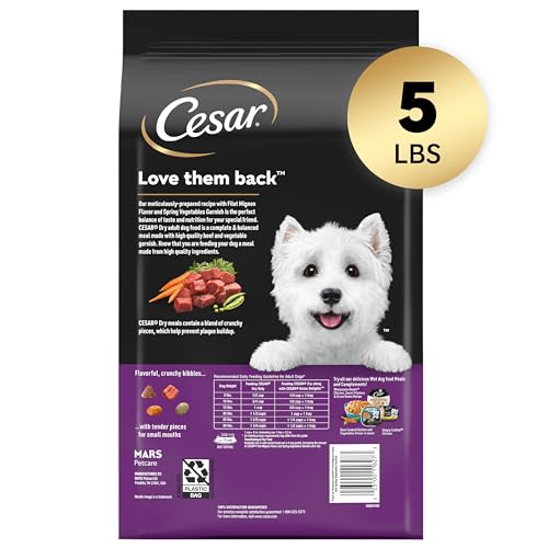 Poodle-Sized CESAR Dry Dog Food, Filet Mignon Flavor