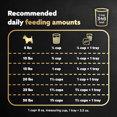 Poodle-Sized CESAR Dry Dog Food, Filet Mignon Flavor