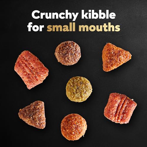 Poodle-Sized CESAR Dry Dog Food, Filet Mignon Flavor