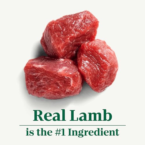 Small Bites Lamb & Brown Rice Dog Food - 12 lb