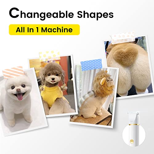 Poodle Dog Grooming Clippers Kit: Low Noise, 4 Blades