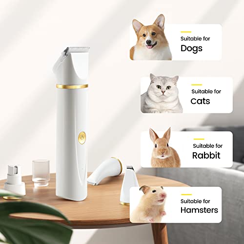 Poodle Dog Grooming Clippers Kit: Low Noise, 4 Blades