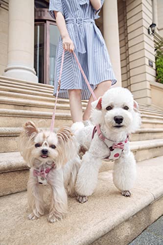 Purple Poodle Dog Harness with Adjustable Leash