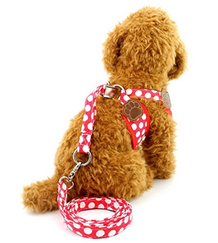 SELMAI Poodle Dog Harness Set, Polka Dot/Camo