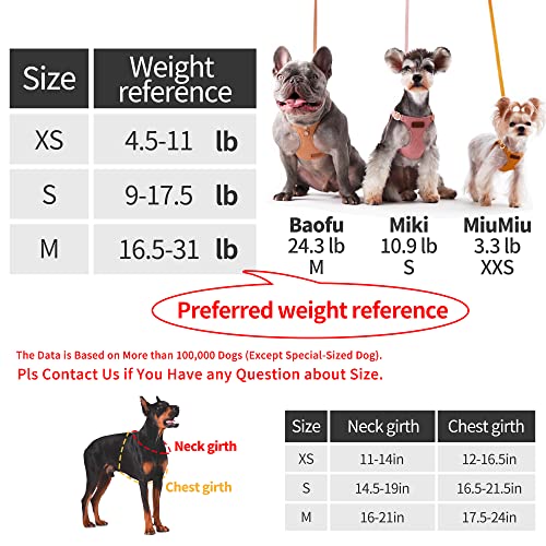 Purple Poodle Dog Harness with Adjustable Leash