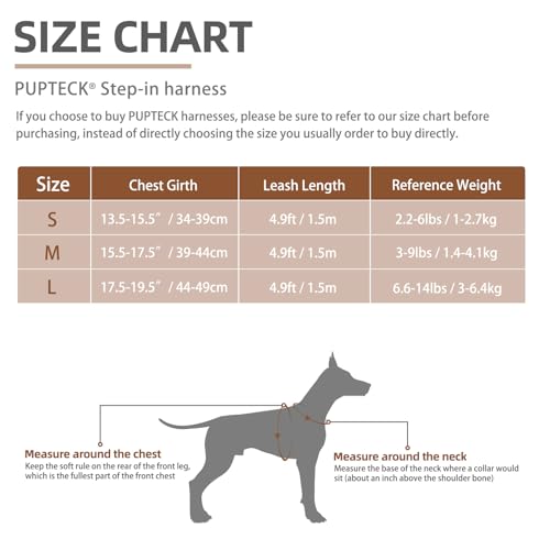 Red Plaid Dog Harness and Leash Set