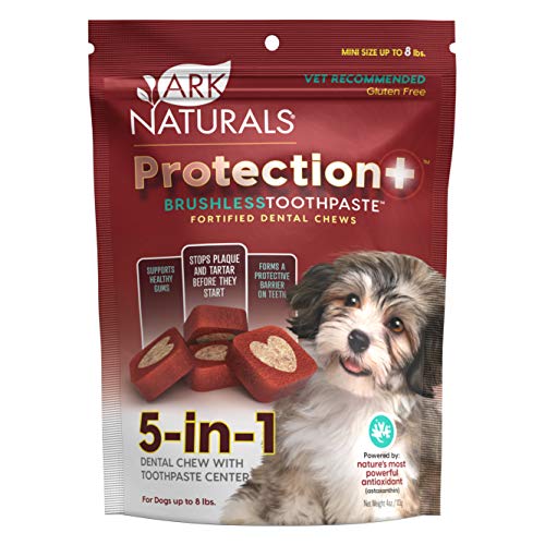 Poodle Dental Chews: Ark Naturals Protection+ Brushless Toothpaste