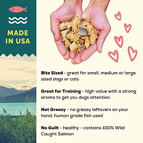 Premium Wild Caught Freeze Dried Salmon Dog Treats