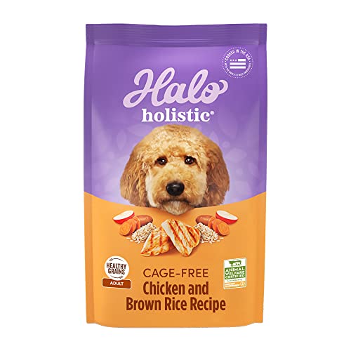 Holistic Poodle Dog Food: Chicken & Brown Rice