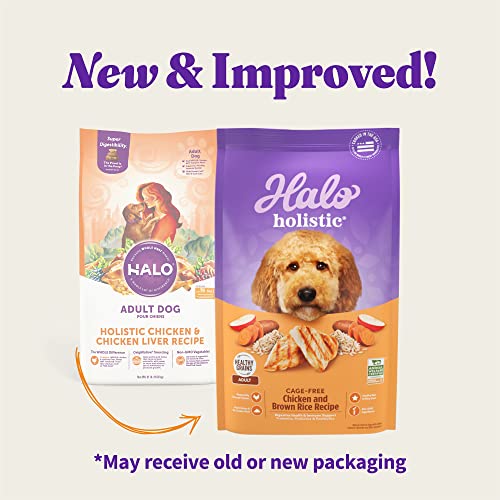 Holistic Poodle Dog Food: Chicken & Brown Rice