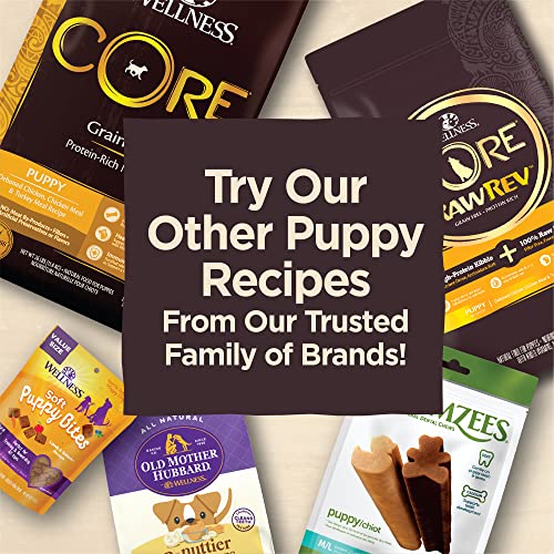 Poodle Puppy Soft Training Treats, Grain-Free, Beef & Turkey, 5oz