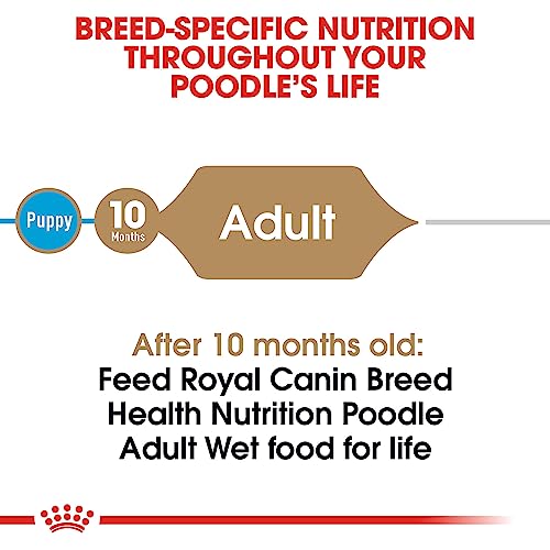 Poodle Adult Breed-specific Wet Dog Food - 3 oz