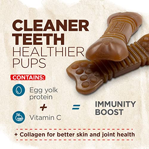 Poodle Dental Chew: Freshens Breath, Fights Plaque (12 Treats)