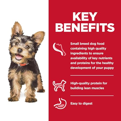 Poodle Puppy Wet Dog Food, Small Stew 12-Pack