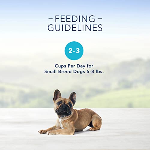 Blue Buffalo Small Breed Wet Dog Food Cup, Prime Rib Flavor (12 Pack)