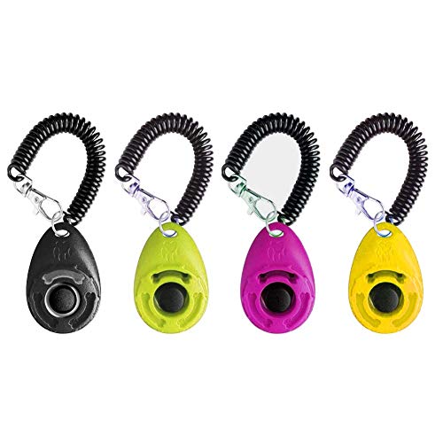 Poodle Dog Training Clicker - OYEFLY Lightweight & Durable