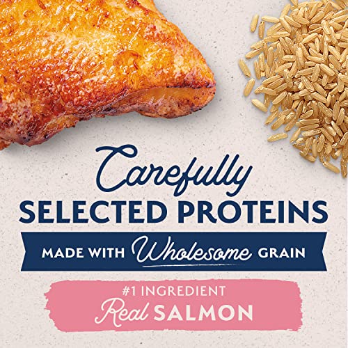 Limited Ingredient Poodle Dog Food, Salmon & Rice