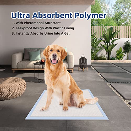 Large Poodle Training Pads: Ultra-Absorbent, Odor Eliminating, 100 Count