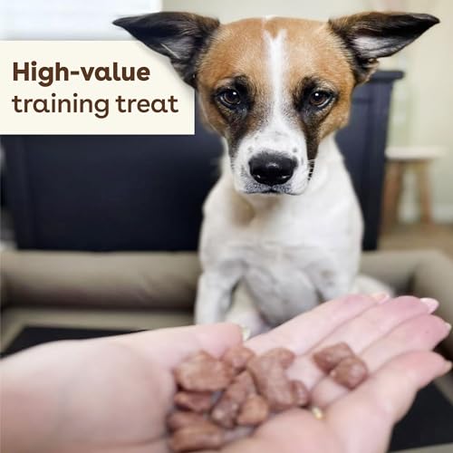 Healthy Poodle Puppy Training Treats: Beef Liver, 475+ Pieces