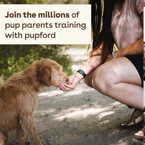 Healthy Poodle Puppy Training Treats: Beef Liver, 475+ Pieces