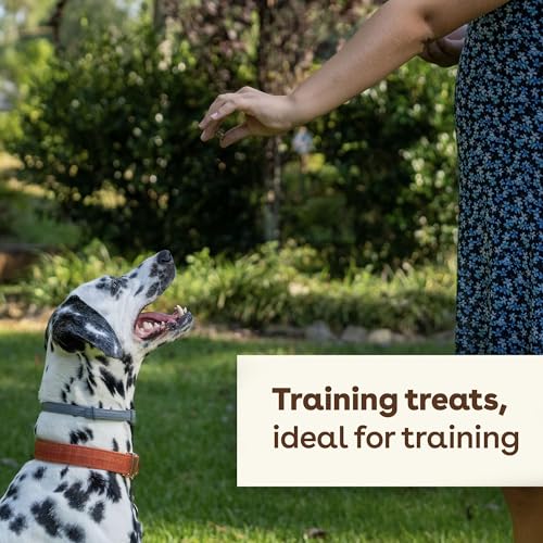 Healthy Poodle Puppy Training Treats: Beef Liver, 475+ Pieces