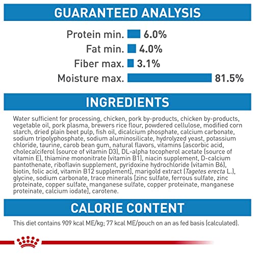 Poodle Puppy Wet Dog Food, 12-pack