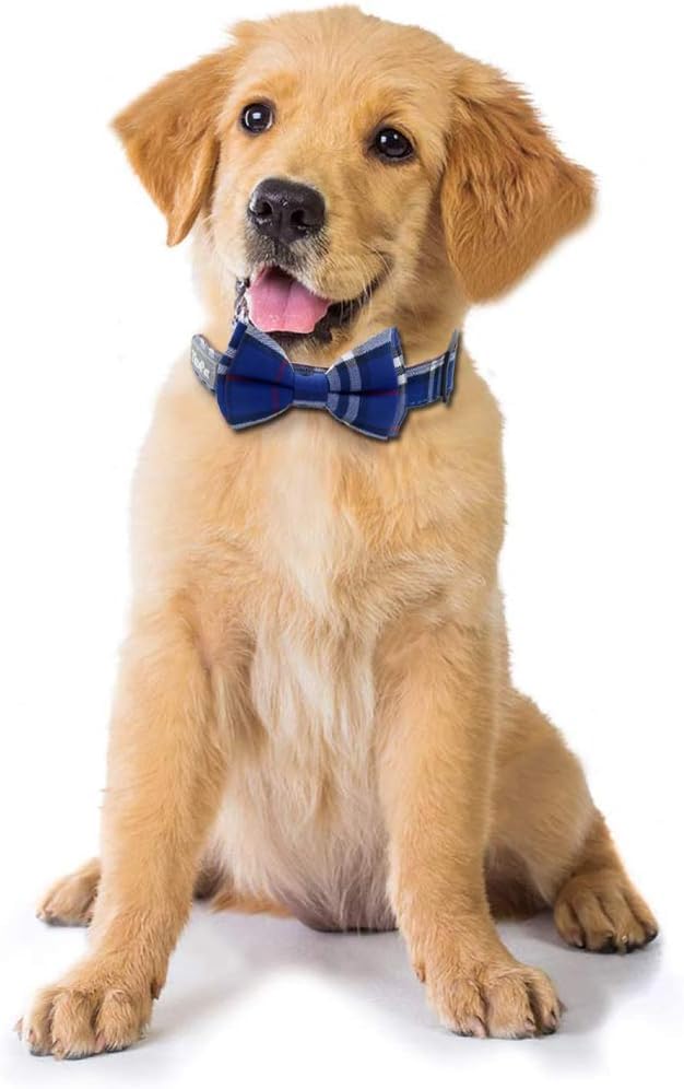 Yizepet Dog Collar: Stylish Adjustable Bow Tie for Poodles