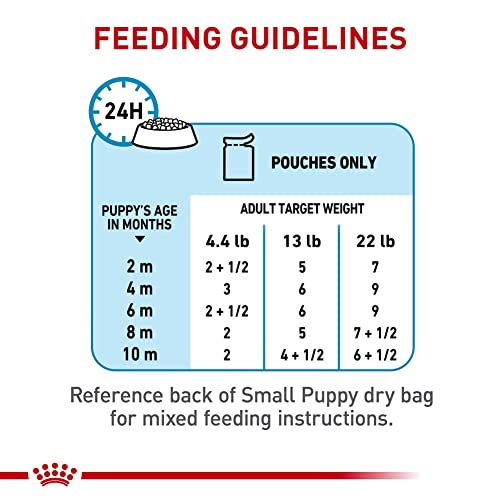 Poodle Puppy Wet Dog Food, 12-pack