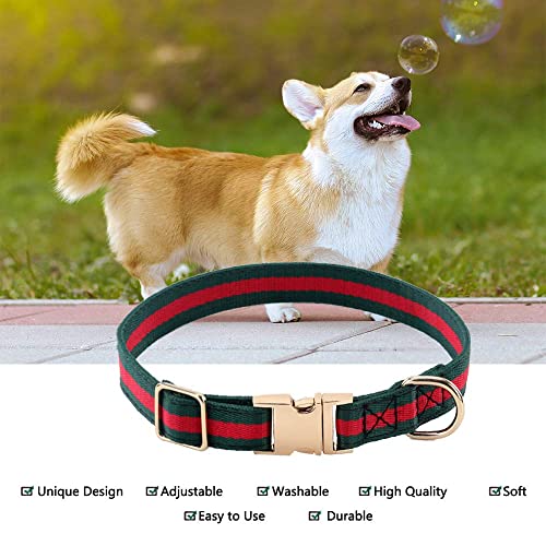 Luxurious Poodle Dog Collar, Comfortable & Adjustable