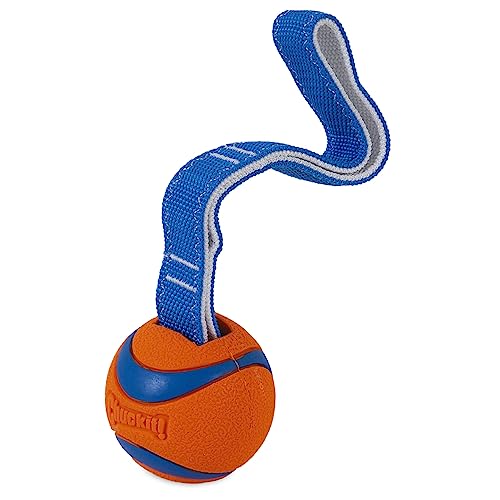 Medium Chuckit! Ultra Tug Toy for Large Poodle Breeds