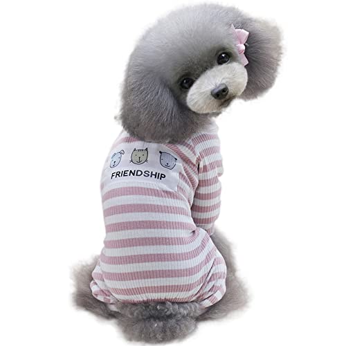 Warm Poodle Dog Pajamas: Cute Clothes for Small Girls