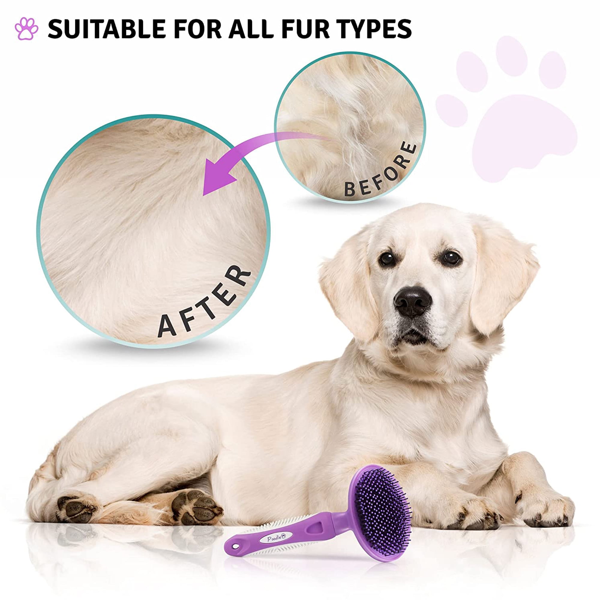 Poodle Pet Round Bristle Hair Brush: Dogs & Cats