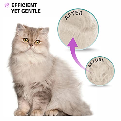 Poodle Pet Dematting Brush with Long Steel Blades