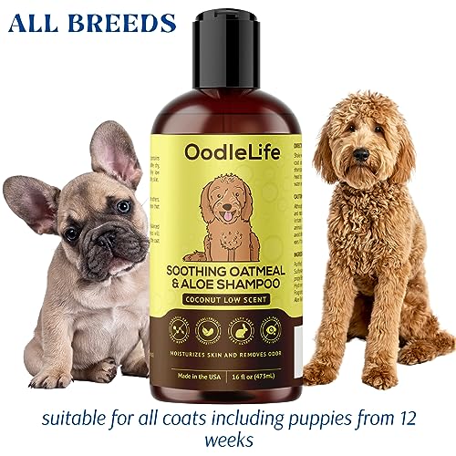 Poodle Dog Shampoo: Soothing Aloe Coconut Formula