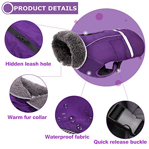 Reflective Waterproof Poodle Dog Winter Coat