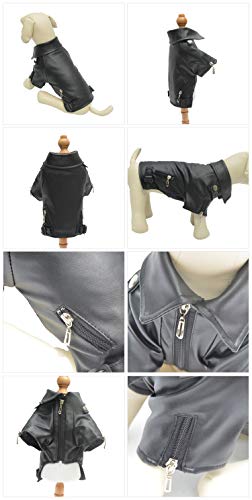 Stylish Leather Jacket for Poodles - Weatherproof & Warm
