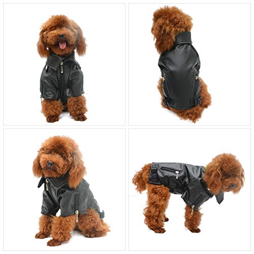Stylish Leather Jacket for Poodles - Weatherproof & Warm