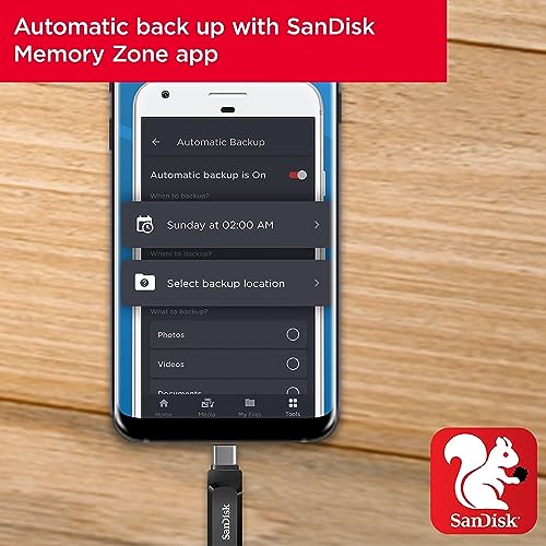 SanDisk 256GB Dual Drive Go, USB-C Flash Drive