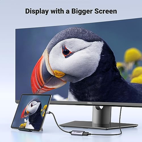 UGREEN 8K USB-C to DisplayPort Adapter