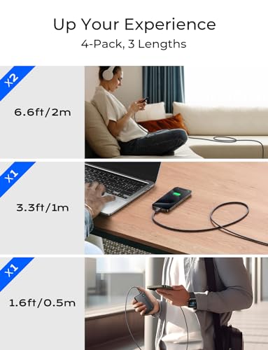 LISEN 60W USB-C Fast Charger Cable 4-Pack