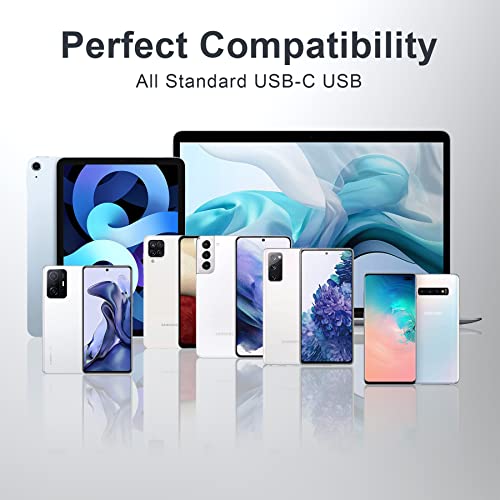 RAVIAD USB-C Fast Charging Cable 3-Pack
