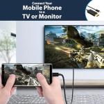 Pipestation USB-C to DisplayPort Cable - 1.8m