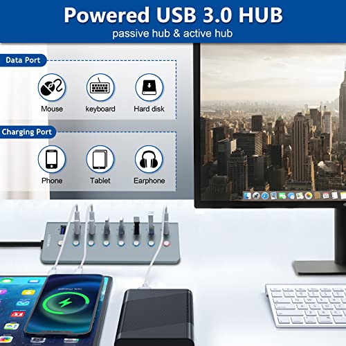 LOBKIN 7-Port Powered USB C Hub with Charging