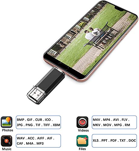 128GB USB C Memory Stick, RAOYI USB C Flash Drive USB 3.0 Stick High Speed USB C Drive Type C Dual OTG Pen Drive for TV, Car, Smartphones, PC, Laptop, Chromebook, MacBook Pro (Black)