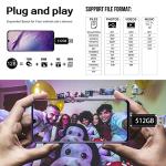 512GB 2-in-1 USB-C Flash Drive with Keychain