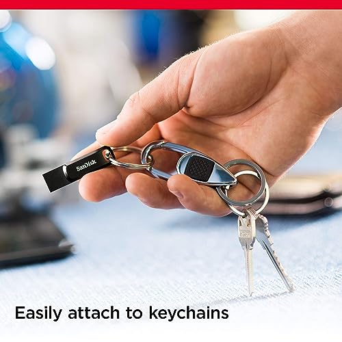 SanDisk 256GB Ultra Dual Drive USB-C Flash Drive