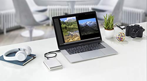 LaCie 4TB Mobile Hard Drive - USB-C Silver
